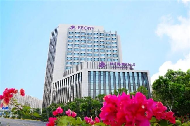 1771069498-f9988bb77c767a0 1771069498-f9988bb77c767a0